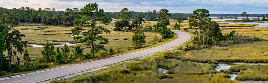 Hit the Road: Exciting Road Trips from Hampton, VA